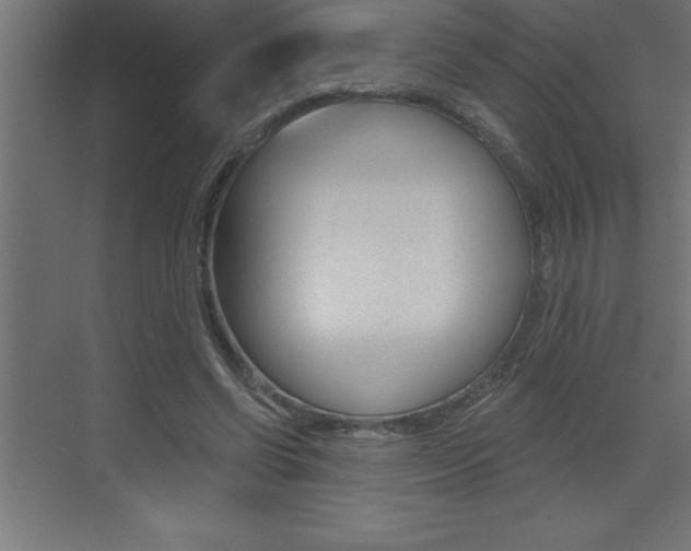 X0000072920542200607210909
