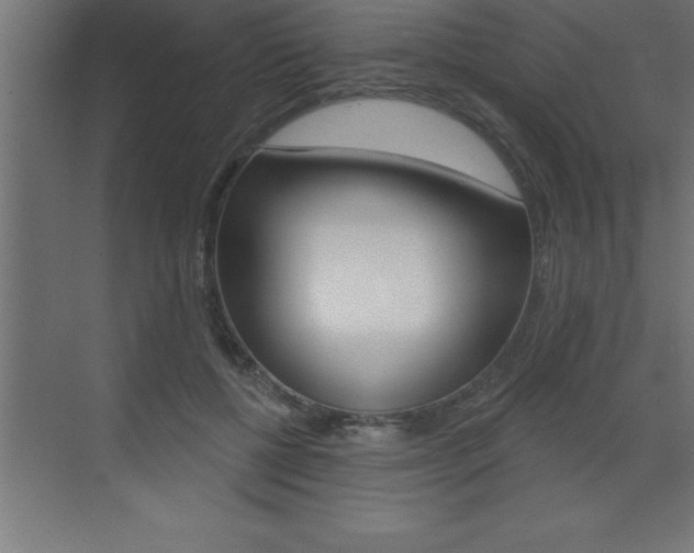 X0000072920552200607210909