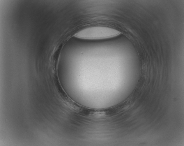 X0000072920554200607210909