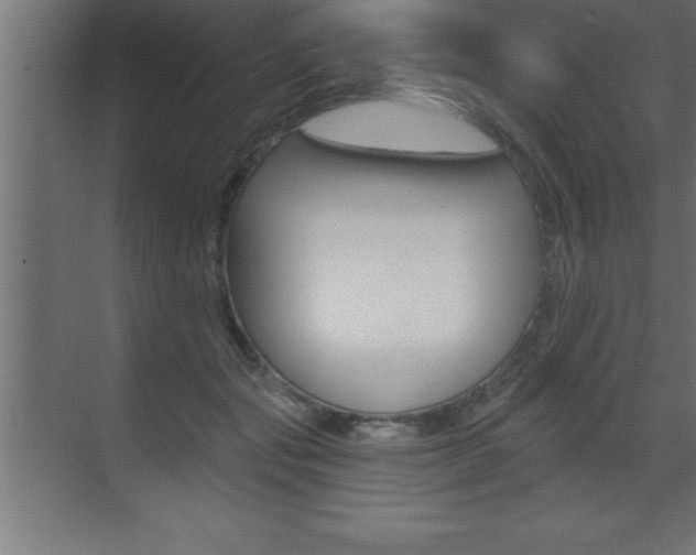 X0000072920557200607210909