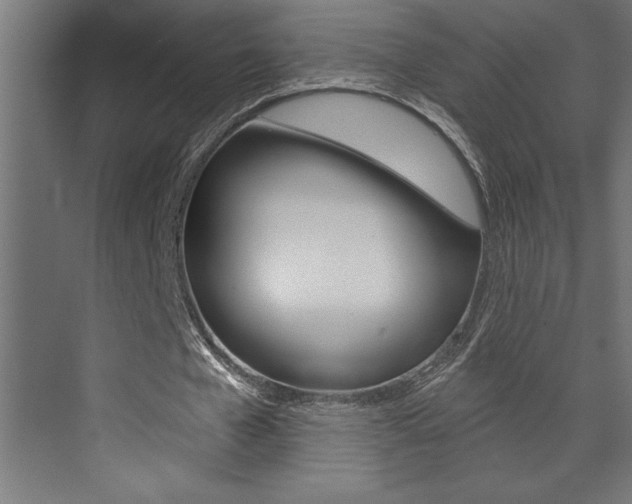 X0000072920577200607210908