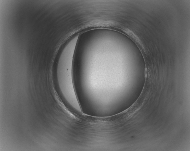 X0000072920581200607210908