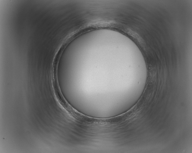 X0000072920582200607210908