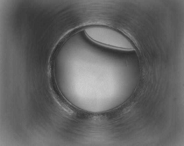 X0000072920584200607210908