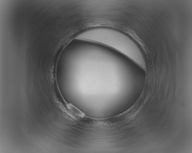 X0000072920585200607210908