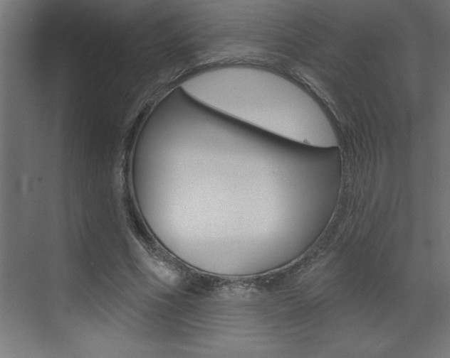 X0000072920586200607210908