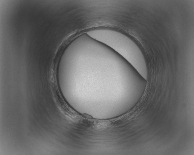 X0000072920587200607210908