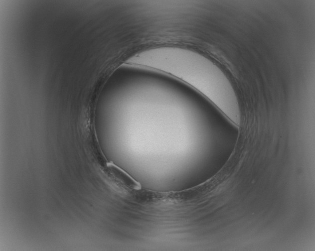 X0000072920593200607210908