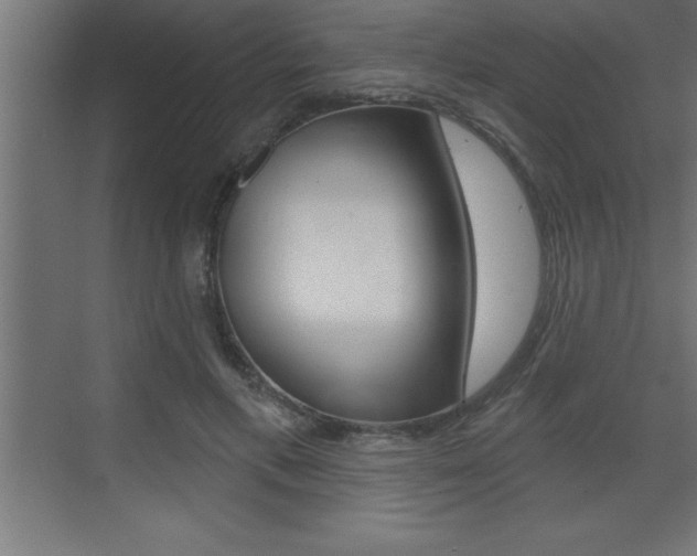 X0000072920597200607210908