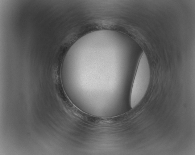 X0000072920599200607210908