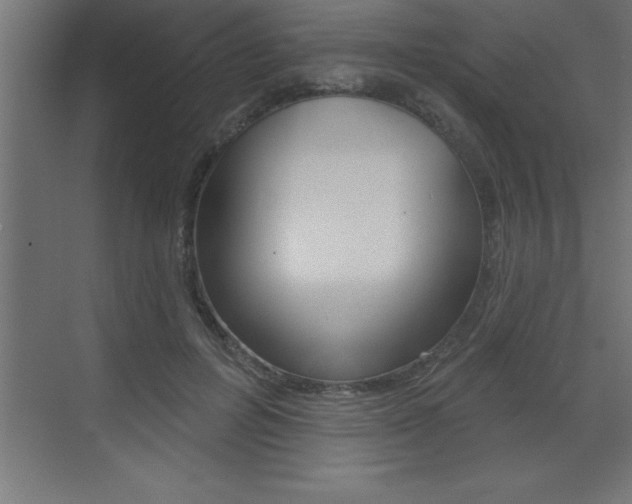 X0000072920600200607210908