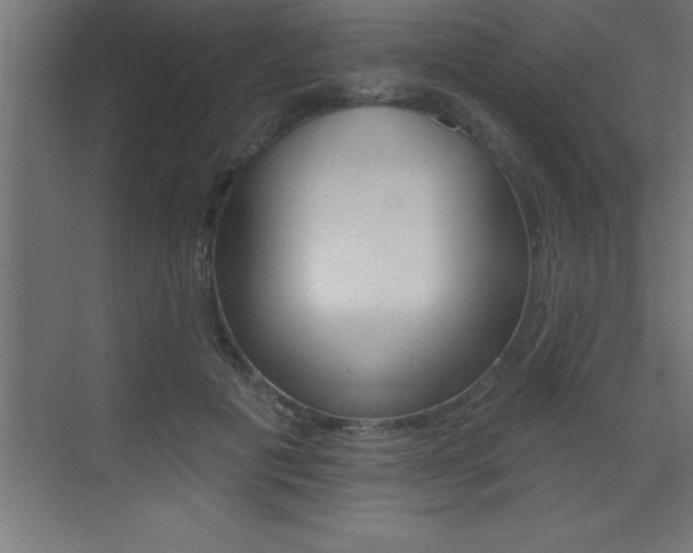 X0000072920601200607210908