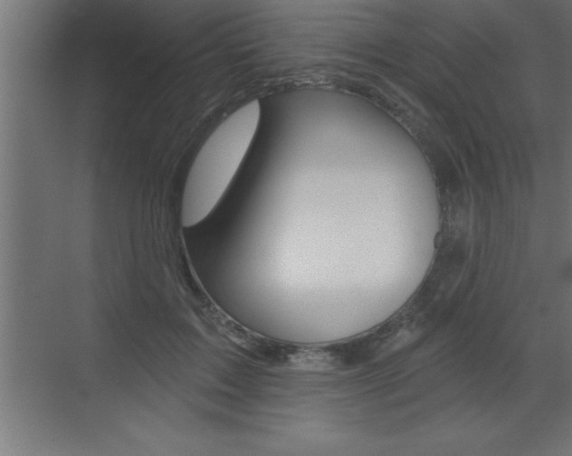 X0000072920603200607210908