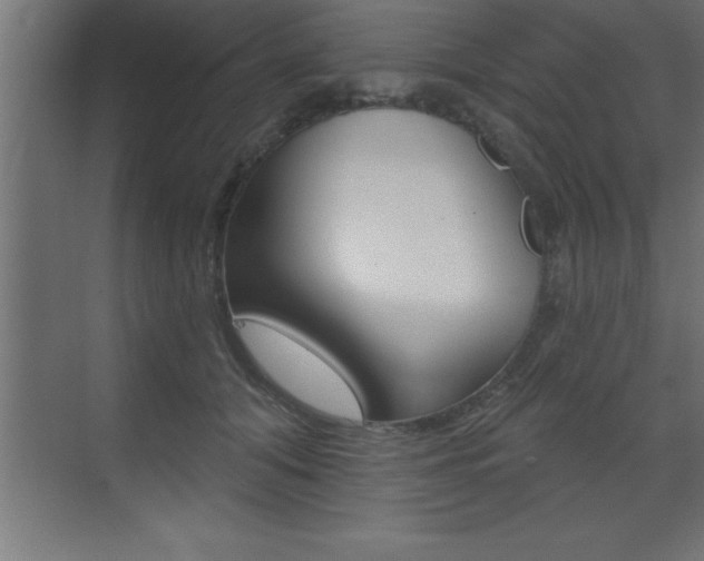 X0000072920608200607210908