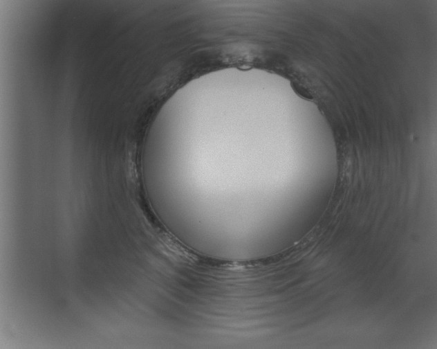 X0000072920616200607210908