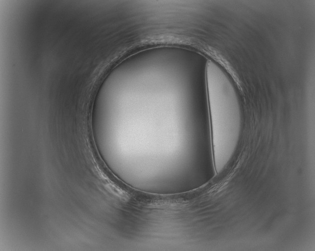 X0000072920625200607210907