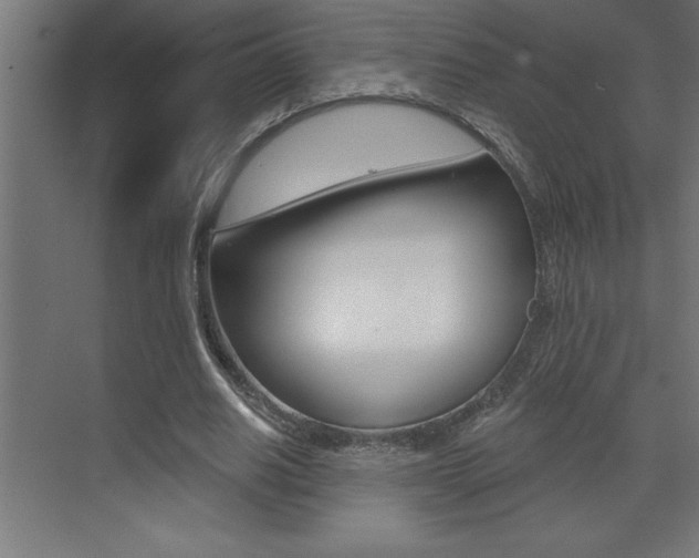 X0000072920630200607210907
