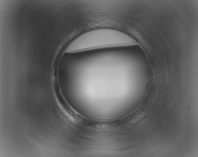 X0000072920634200607210907