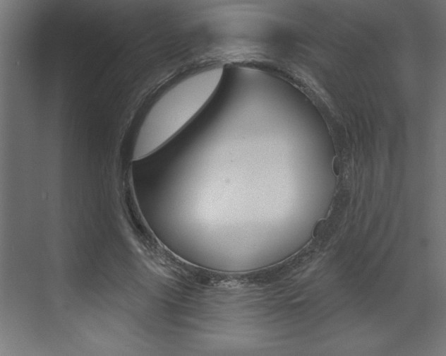 X0000072920635200607210907
