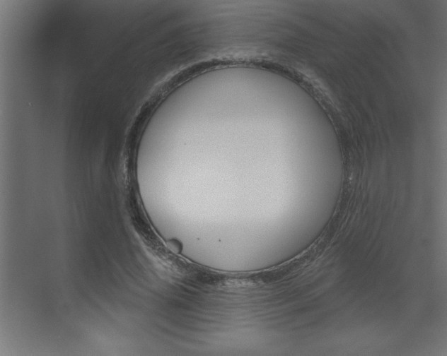 X0000072920636200607210907