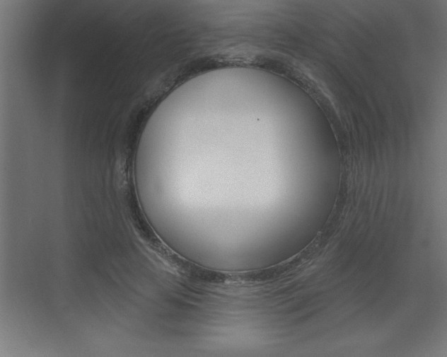 X0000072920641200607210907