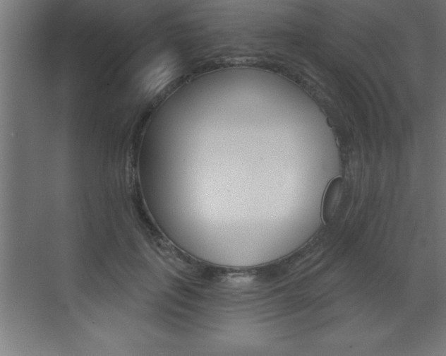 X0000072920651200607210907