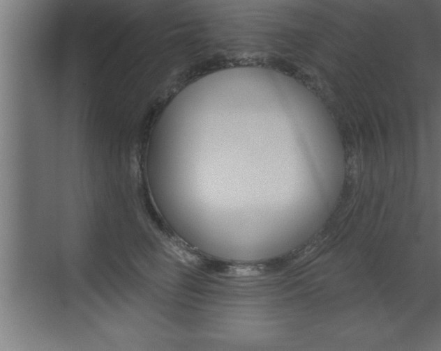 X0000072920662200607210907