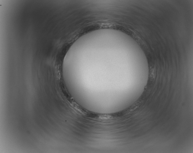 X0000072920666200607210907