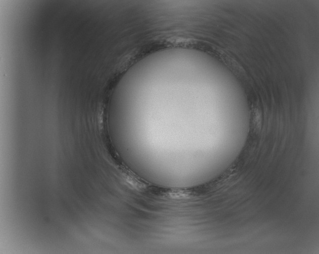 X0000072920668200607210908