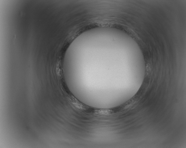 X0000072920671200607210908