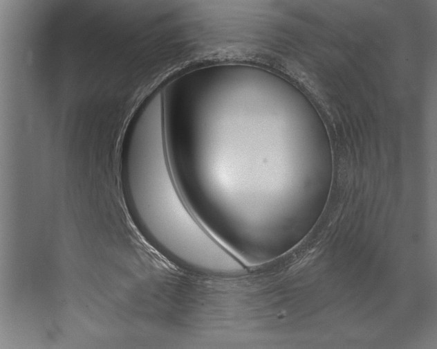 X0000072920673200607210907