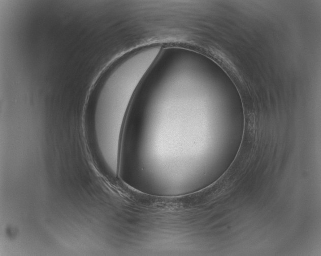 X0000072920676200607210907