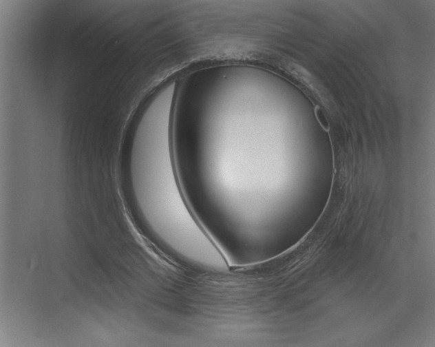 X0000072920677200607210907