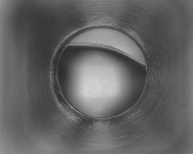 X0000072920680200607210907