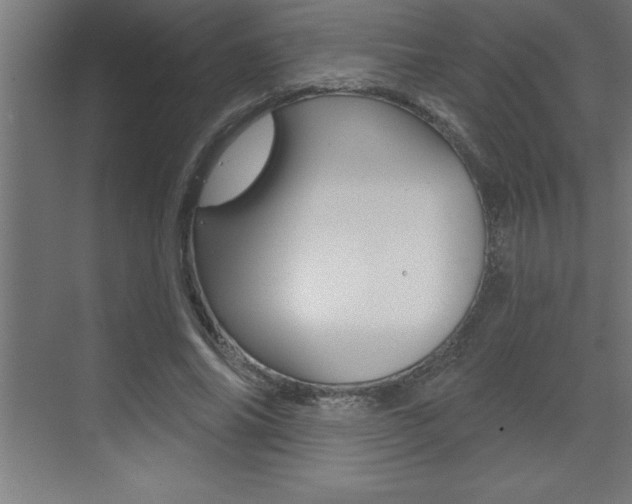 X0000072920686200607210907