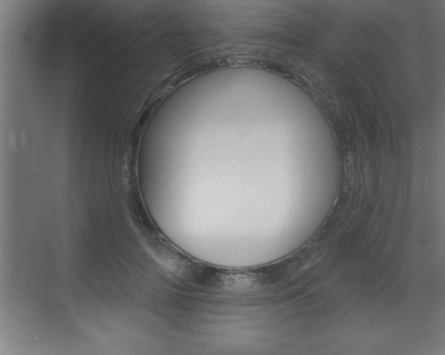 X0000072920698200607210906