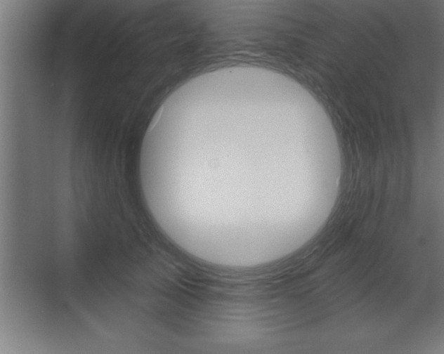 X0000072920705200607210906