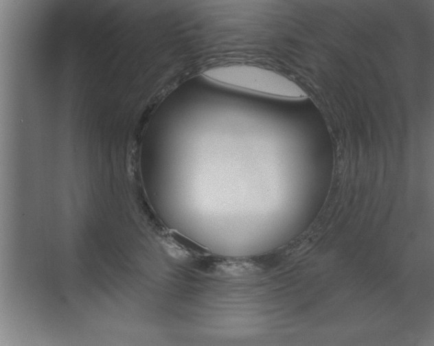 X0000072920712200607210906