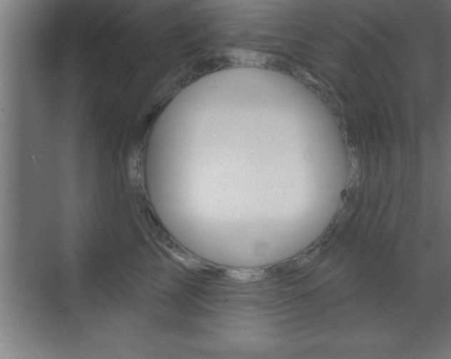 X0000072920713200607210906