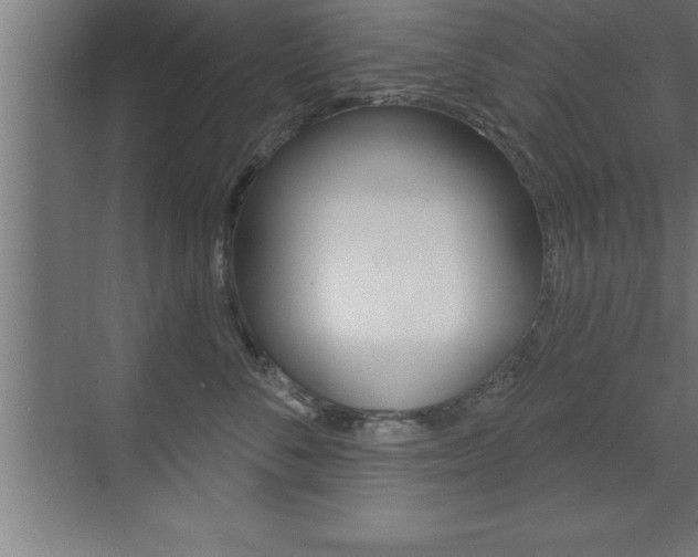X0000072920716200607210906