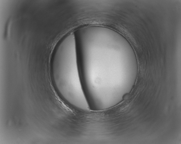 X0000072920721200607210905