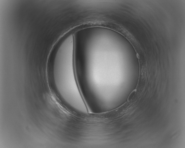 X0000072920722200607210905