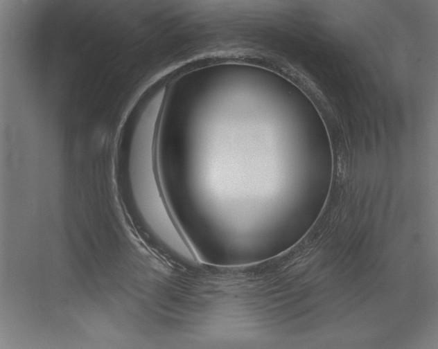 X0000072920724200607210905
