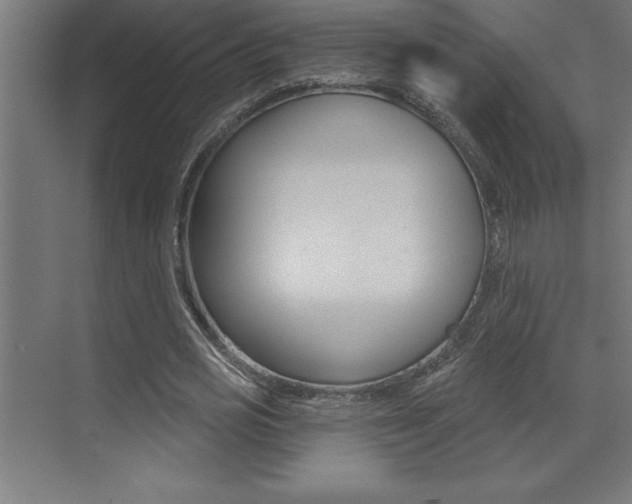 X0000072920725200607210905