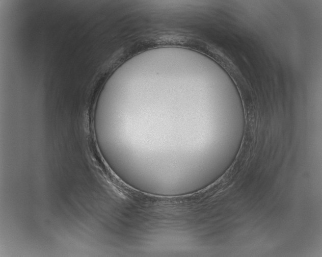 X0000072920729200607210905