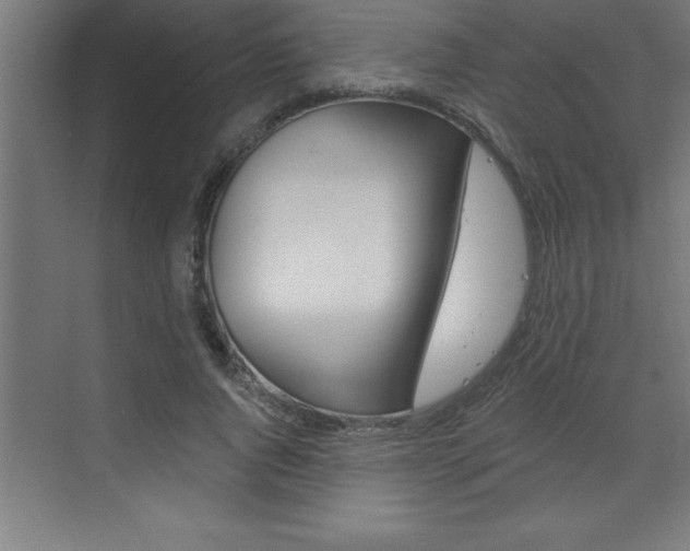 X0000072920736200607210905