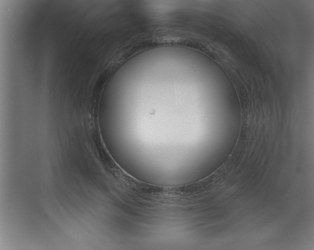 X0000072920743200607210906