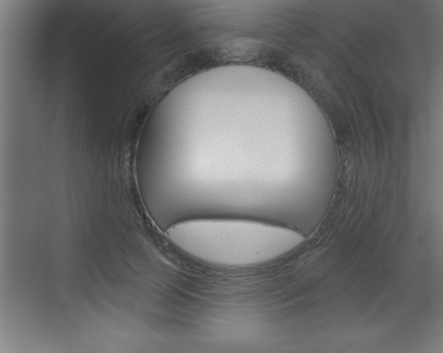 X0000072920745200607210906
