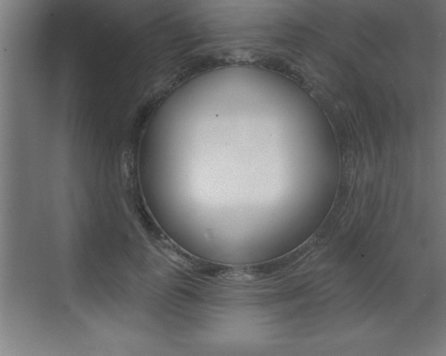 X0000072920747200607210906