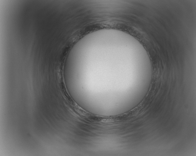X0000072920749200607210906
